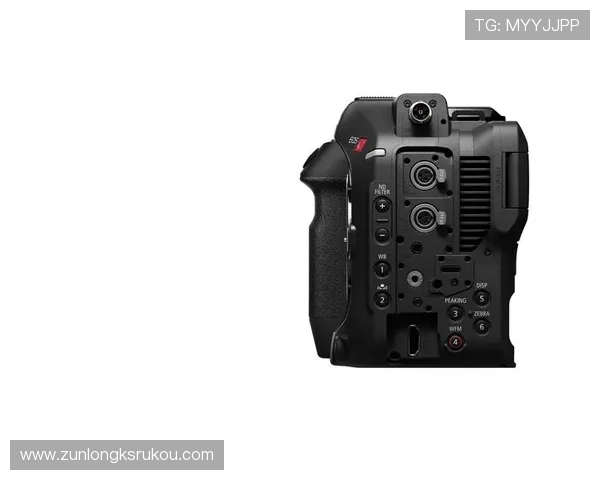 尊龙z6地址平台安全登录指南,保障账号信息安全的实用技巧 尊龙z6地址平台安全登录指南,保障账号信息安全的实用技巧