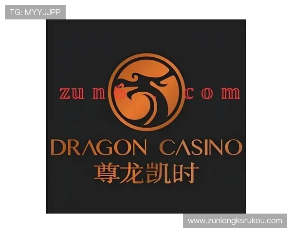 尊龙凯时九游娱乐百家乐官网多重安全保障措施，确保玩家个人信息与资金安全无忧