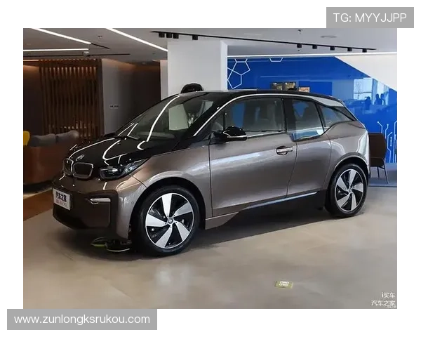 宝马线上娱乐网址集成多样化的金融方案和优惠政策，满足不同客户的购车需求