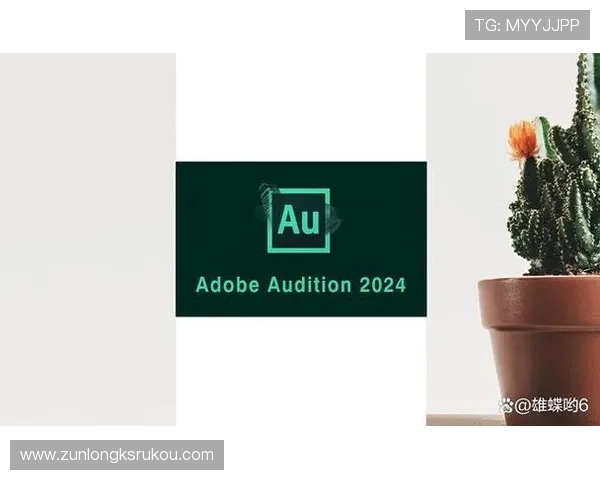 尊龙时凯人生官网电脑版下载安装教程，详细步骤带你轻松完成软件安装