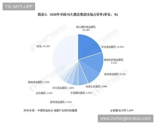 尊龙网平台：行业竞争格局与市场份额分析报告