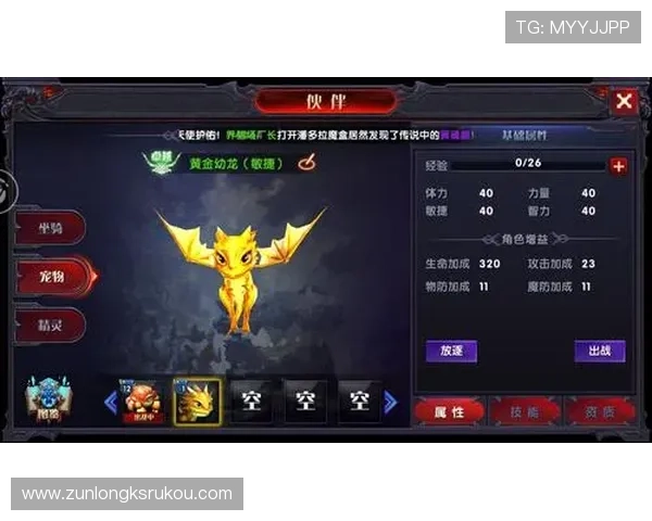 探索尊龙平台官网，获取最新游戏资讯与福利活动