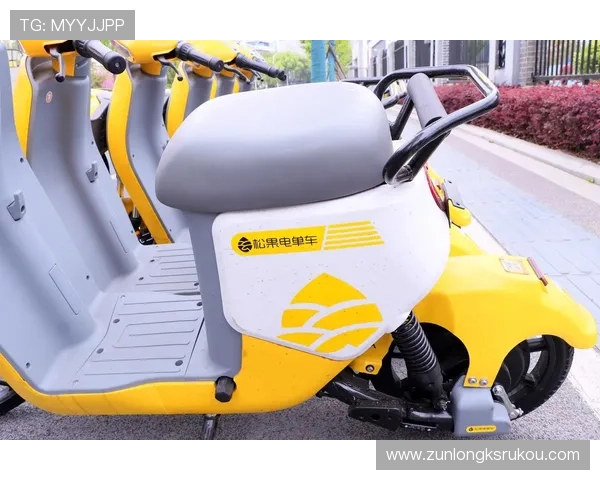 凯时KS电游官网安全保障措施详解保障玩家资金与个人信息安全 凯时KS电游官网安全保障措施详解保障玩家资金与个人信息安全