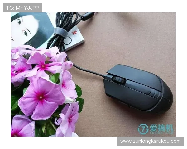 Z6尊龙备用平台安全稳定可靠,提供全天候极速游戏体验的最佳选择 Z6尊龙备用平台安全稳定可靠,提供全天候极速游戏体验的最佳选择