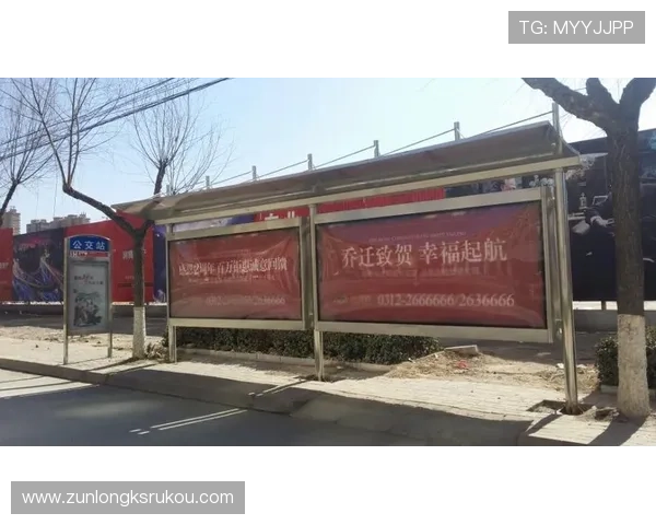 尊龙d88网站最新安全指南帮助玩家轻松注册与登录体验提升