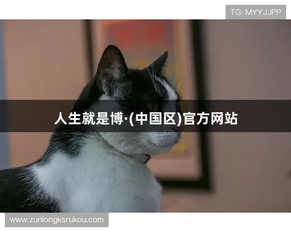 尊龙人生就是博官网登录关注玩家反馈，不断优化平台功能与服务质量